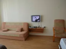Miniaturka