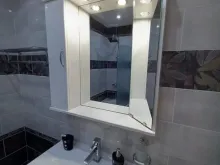 Miniaturka