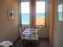 Miniaturka