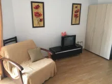 Miniaturka
