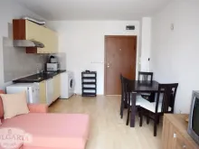 Miniaturka