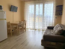 Miniaturka