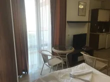 Miniaturka