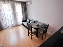Miniaturka