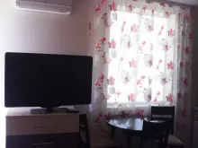 Miniaturka