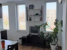 Miniaturka