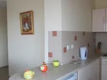 Miniaturka