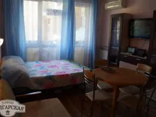 Miniaturka