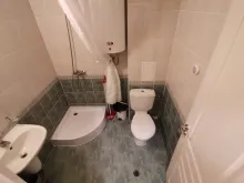 Miniaturka
