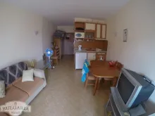 Miniaturka