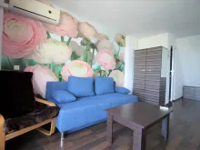 Miniaturka
