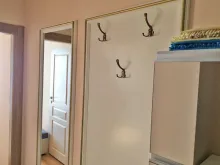 Miniaturka