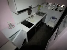 Miniaturka