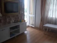 Miniaturka