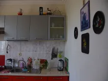 Miniaturka