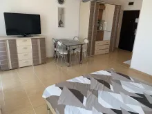 Miniaturka