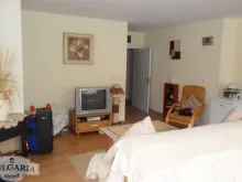 Miniaturka