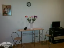 Miniaturka