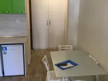 Miniaturka