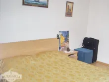 Miniaturka