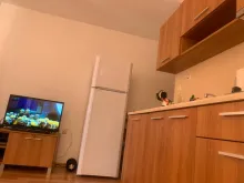 Miniaturka