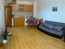 Miniaturka