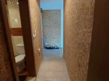 Miniaturka