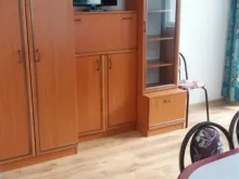 Miniaturka