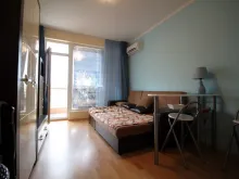 Miniaturka