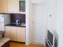 Miniaturka