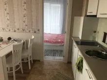 Miniaturka