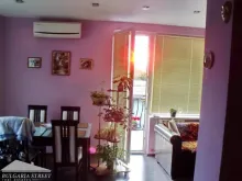Miniaturka