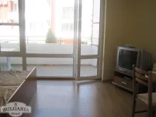 Miniaturka