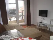 Miniaturka