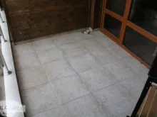 Miniaturka