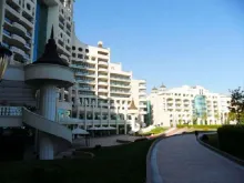 Miniaturka