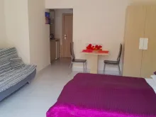 Miniaturka
