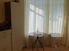 Miniaturka