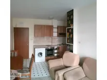 Miniaturka