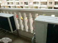 Miniaturka