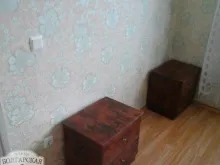 Miniaturka