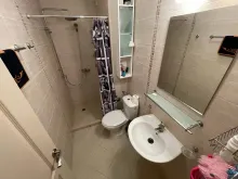 Miniaturka