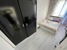 Miniaturka
