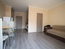 Miniaturka