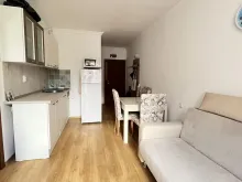 Miniaturka