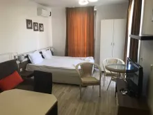 Miniaturka