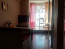 Miniaturka