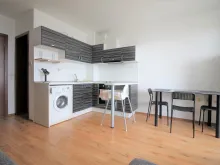 Miniaturka