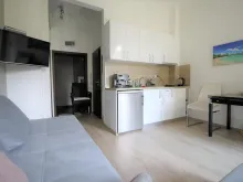 Miniaturka