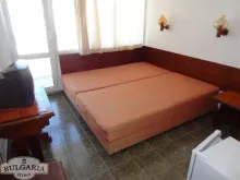 Miniaturka